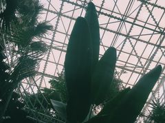-济南植物园