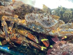 -77号渔船·蒸海鲜青岛菜(积米崖店)