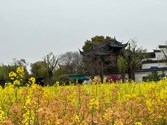 -广富林郊野公园