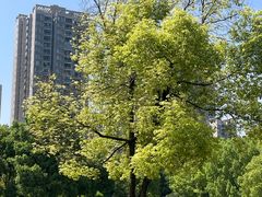 -重庆彩云湖湿地公园