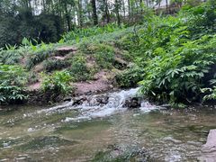-重庆彩云湖湿地公园