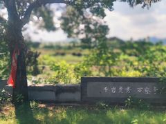 -十九峰景区