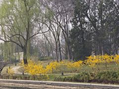 -元大都城垣遗址公园