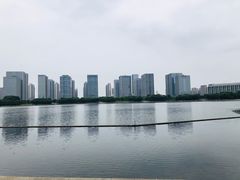 -尚贤河湿地
