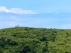 -大姆山草场