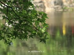 -国家植物园