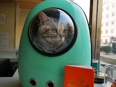 -康乐宝动物医院