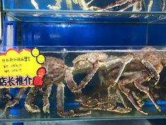 -蚝专家(北滘店)