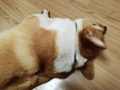 -阿木舂记·特色小吃(平江路店)