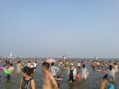 -碧海金沙