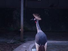 -红山森林动物园