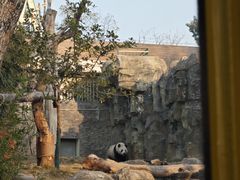 -武汉动物园