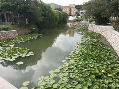 -乌石塘景区