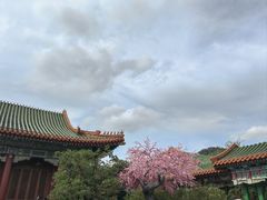 -珠海圆明新园