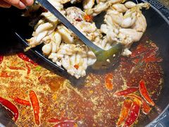 美蛙-销魂美蛙鱼头火锅(上海首店)
