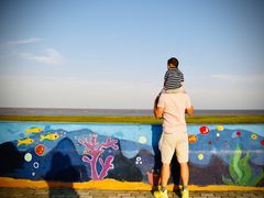 -南汇嘴观海公园