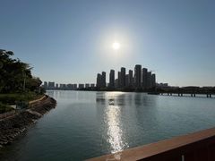-五缘湾湿地公园