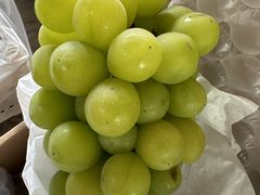 -马陆小张葡萄园农家乐