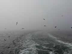 -海驴岛(荣成市)