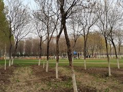 -草根堂农场