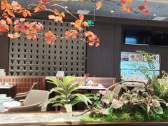 -渝乡老妈·北京烤鸭(六里桥店)