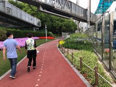 -北外滩滨江绿地