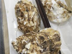 -源港渔村-中山脆肉鲩(博罗店)