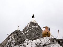 -维乐口腔医院(星海湾分院)