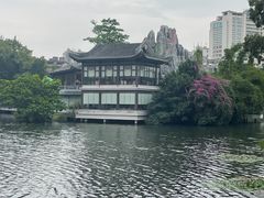 -荔湾湖公园