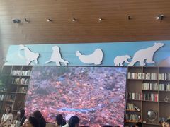-抱抱地球咖啡馆(国家海洋博物馆店)