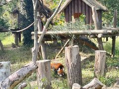 -宁波野生动物园