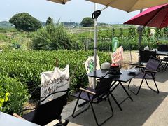 -龙坞茶村