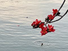 -东山湖公园