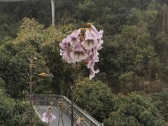 -福道