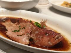 -阿毛饭店·宁波老字号(儿童公园旗舰店)