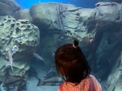-上海海洋水族馆-停车场