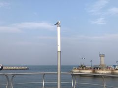 -东港音乐喷泉广场