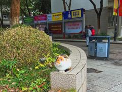 -南京财经大学(仙林校区)