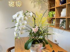 -花神·轻食简餐·咖啡馆·花卉绿植(荷兰花卉小镇店)