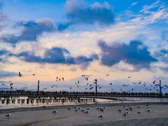 -东港音乐喷泉广场