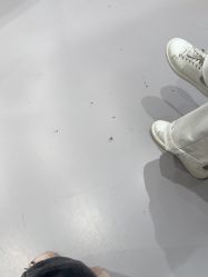 -G-STEPS舞蹈工作室