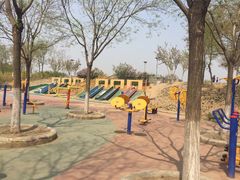 -大兴滨河森林公园