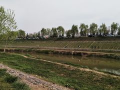 -洨河生态公园
