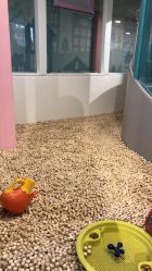 -多多淘儿童体验中心(重庆来福士店)