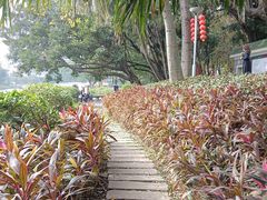 -荔湾湖公园