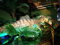 -恐龙探索乐园(磁器口店)