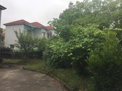 大光明DFC影城(三林店)-幸福蓝海国际影城(上海三林店)