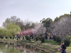 -堤角公园