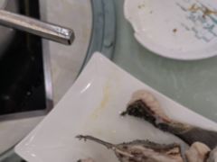 -源港渔村-中山脆肉鲩(博罗店)