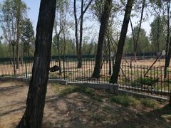 -秦皇岛野生动物园